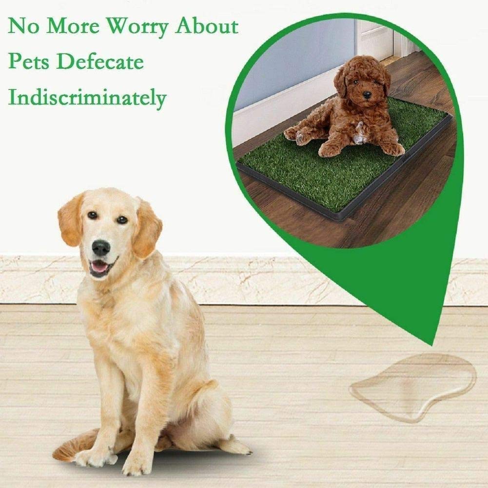 Indoor Outdoor Dog Potty Trainer 20" X 25" Z850934