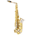 E Flat Alto Saxophone Wind Instrument P105
