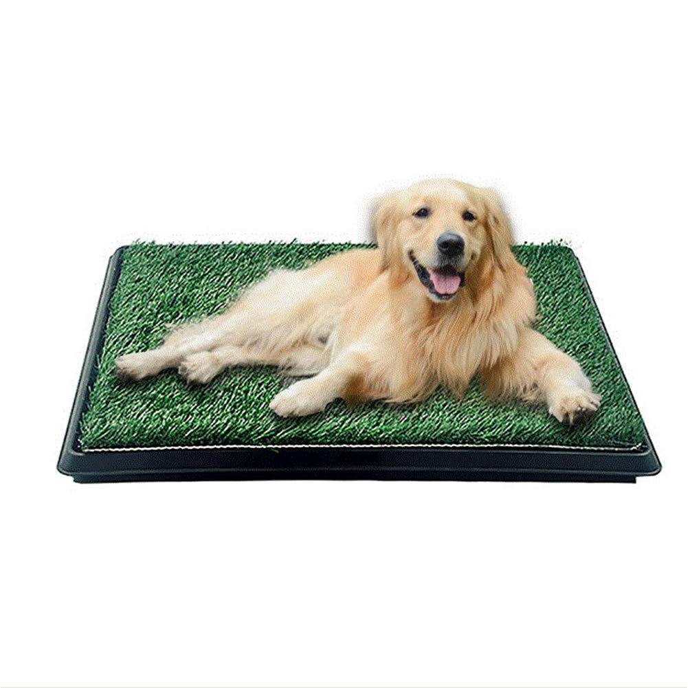 Indoor Outdoor Dog Potty Trainer 20" X 25" Z850934