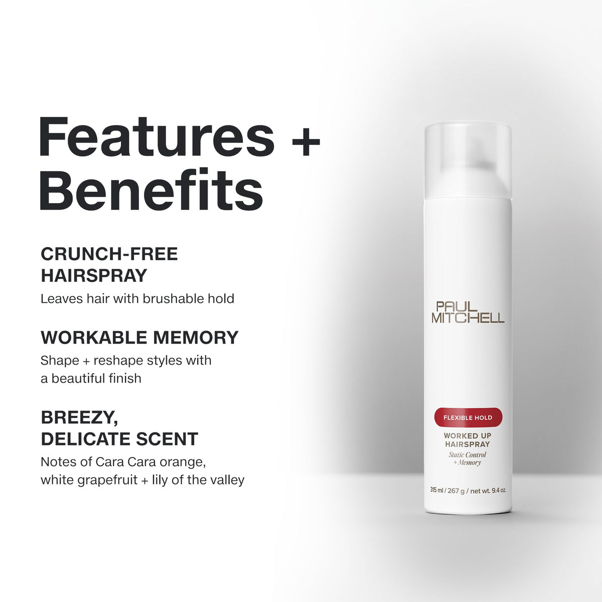 9.4 oz Hairspray Q119685