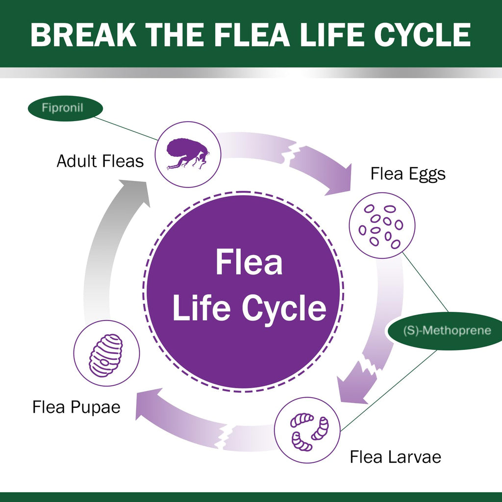 Flea and Tick Prevention for Cats Over 1.5 lbs C1574