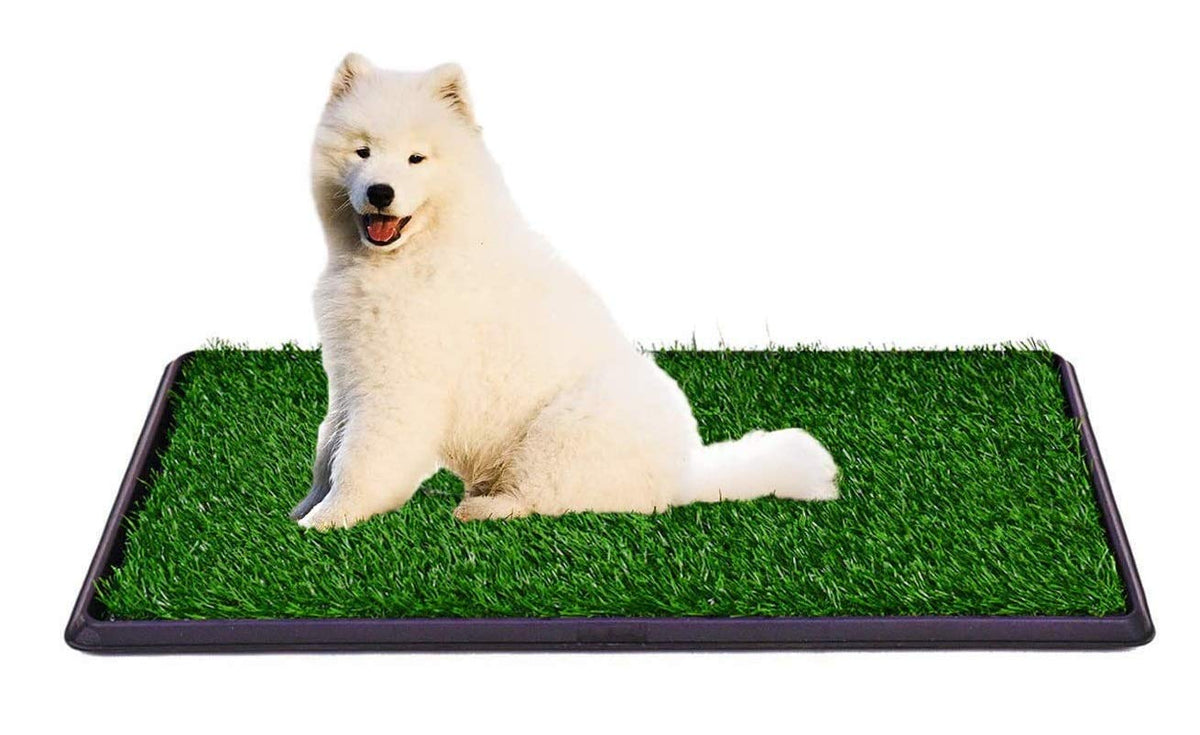 Indoor Outdoor Dog Potty Trainer 20" X 25" Z850934