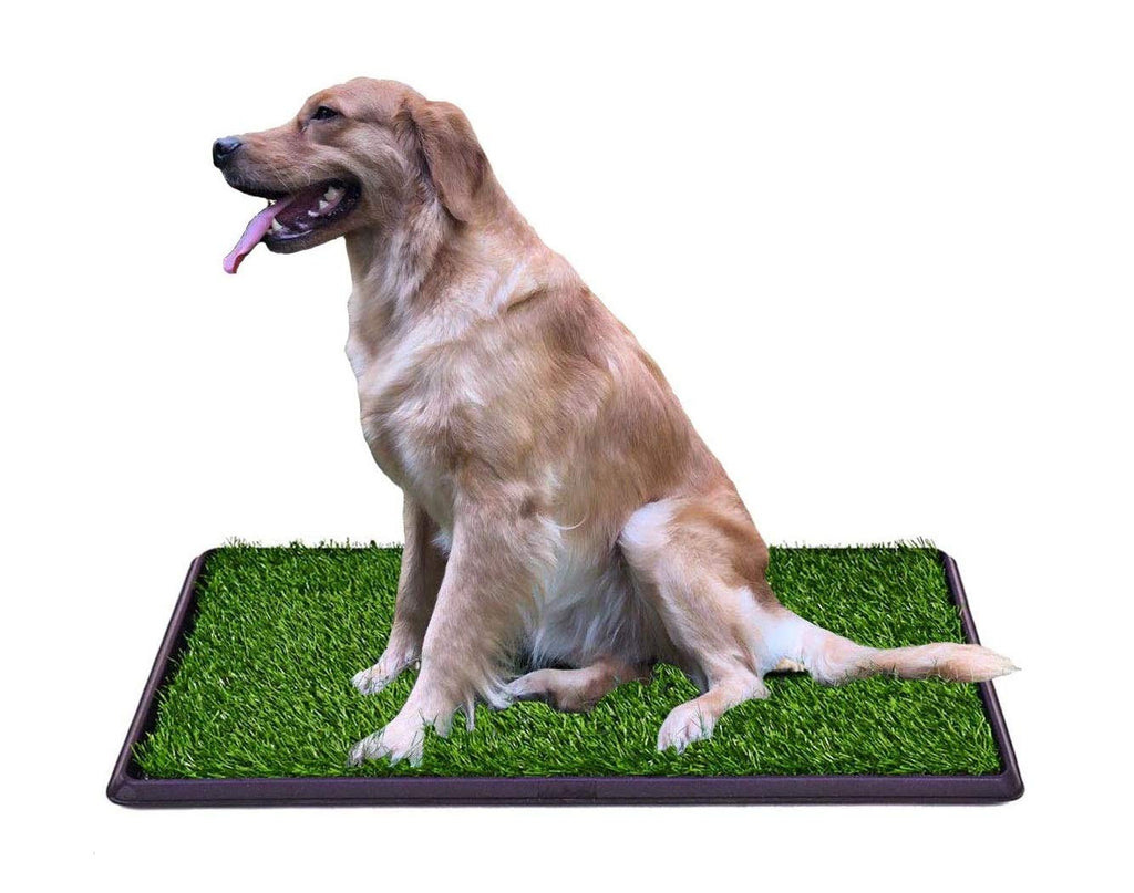 Indoor Outdoor Dog Potty Trainer 20" X 25" Z850934