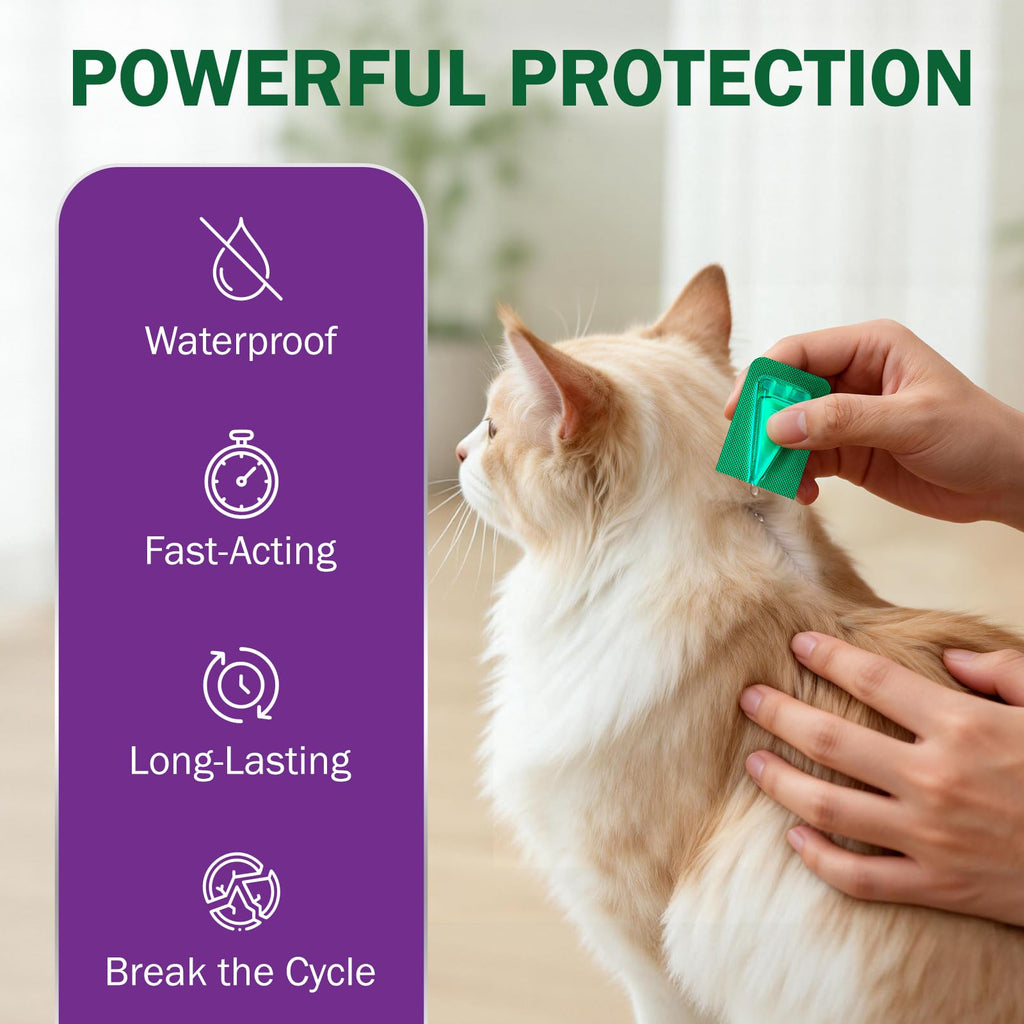 Flea and Tick Prevention for Cats Over 1.5 lbs C1574
