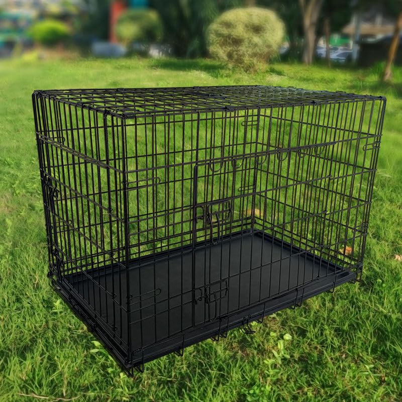 48-Inch Folding Metal Dog Crate with Divider, Tray, and Carry Handle N899058