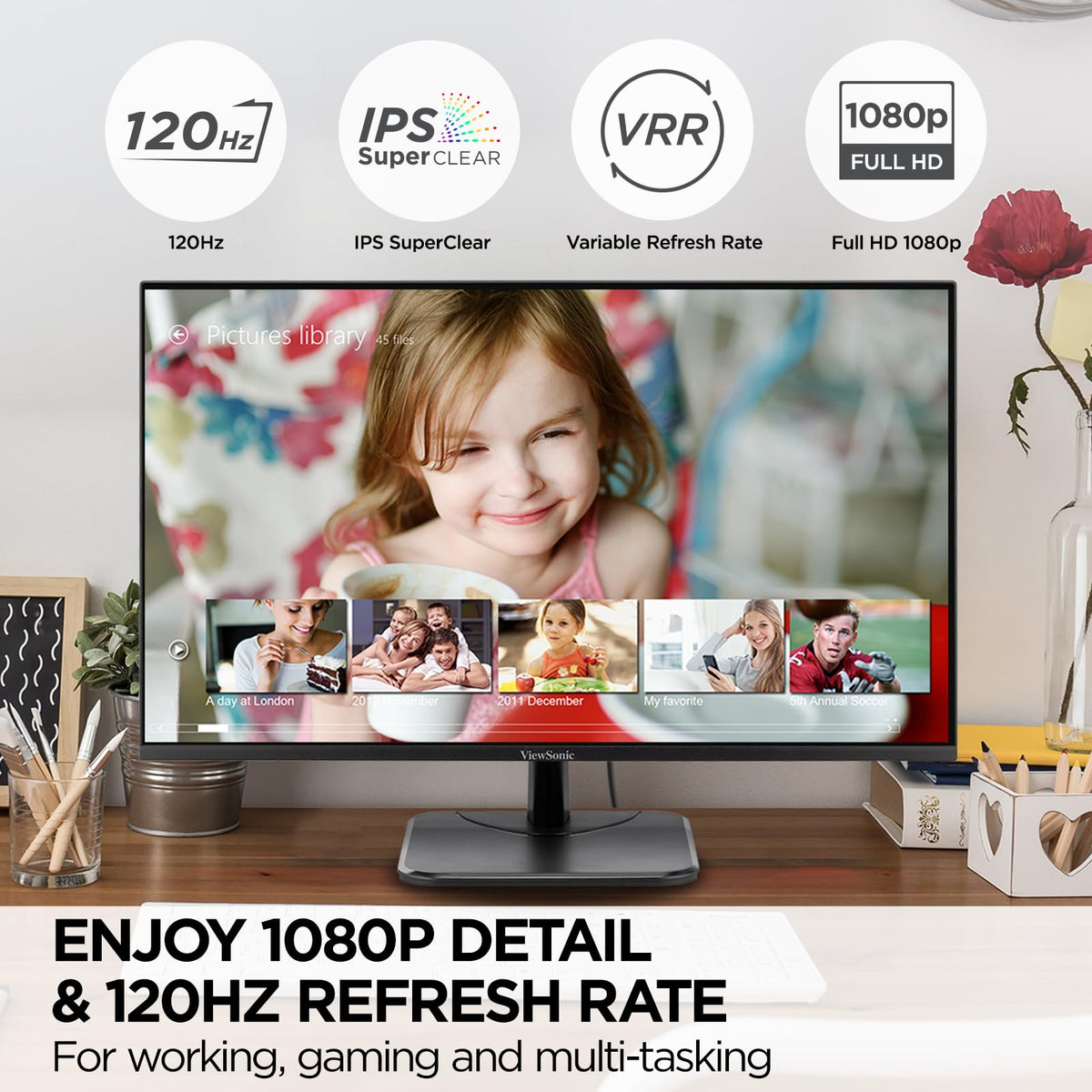 24 Inch 1080p IPS Computer Monitor D511