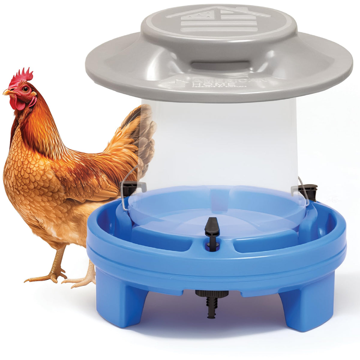 5 Gallon Chicken Waterer C1910