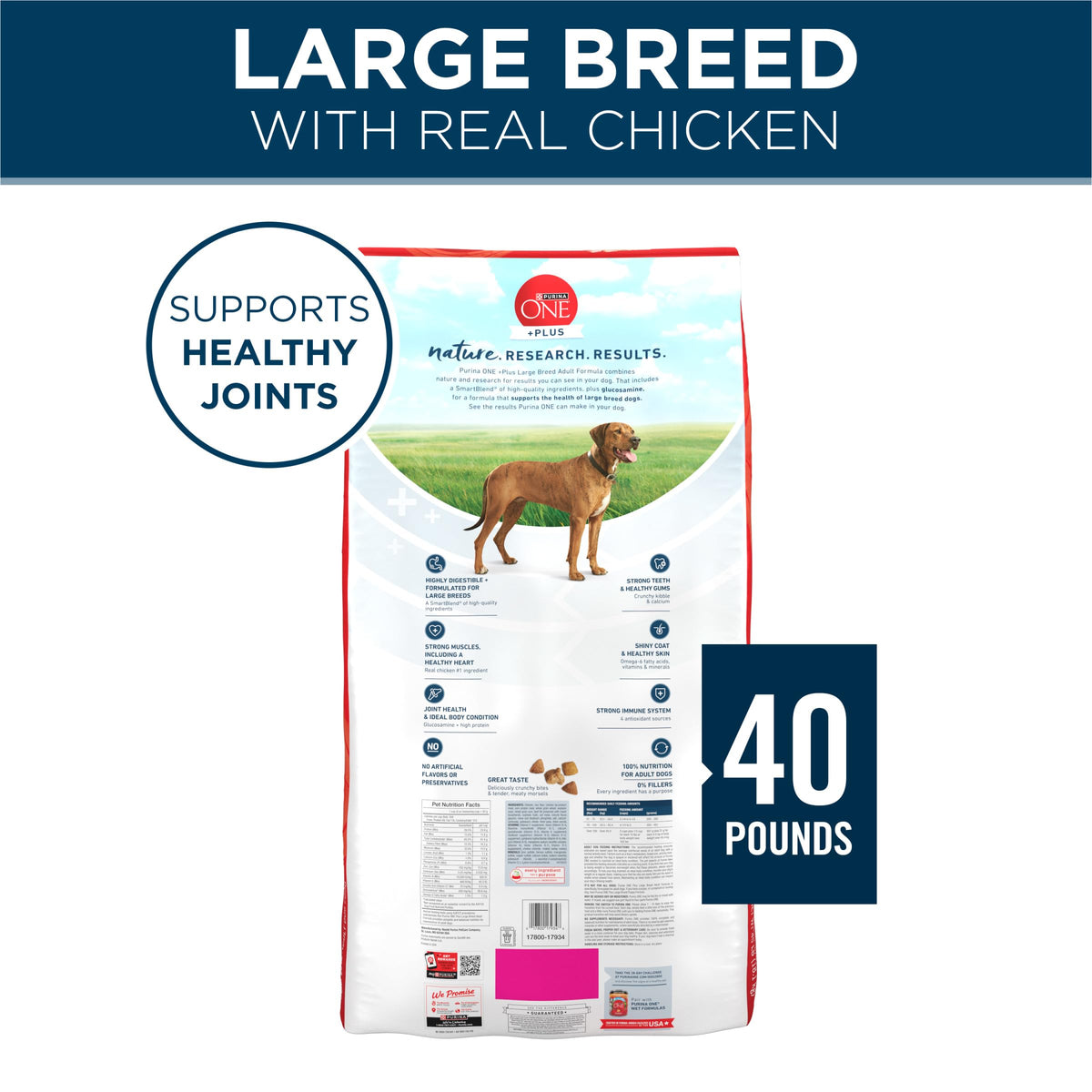 Adult Large Breed Dry Dog Food Chicken 40 lb Bag R5286