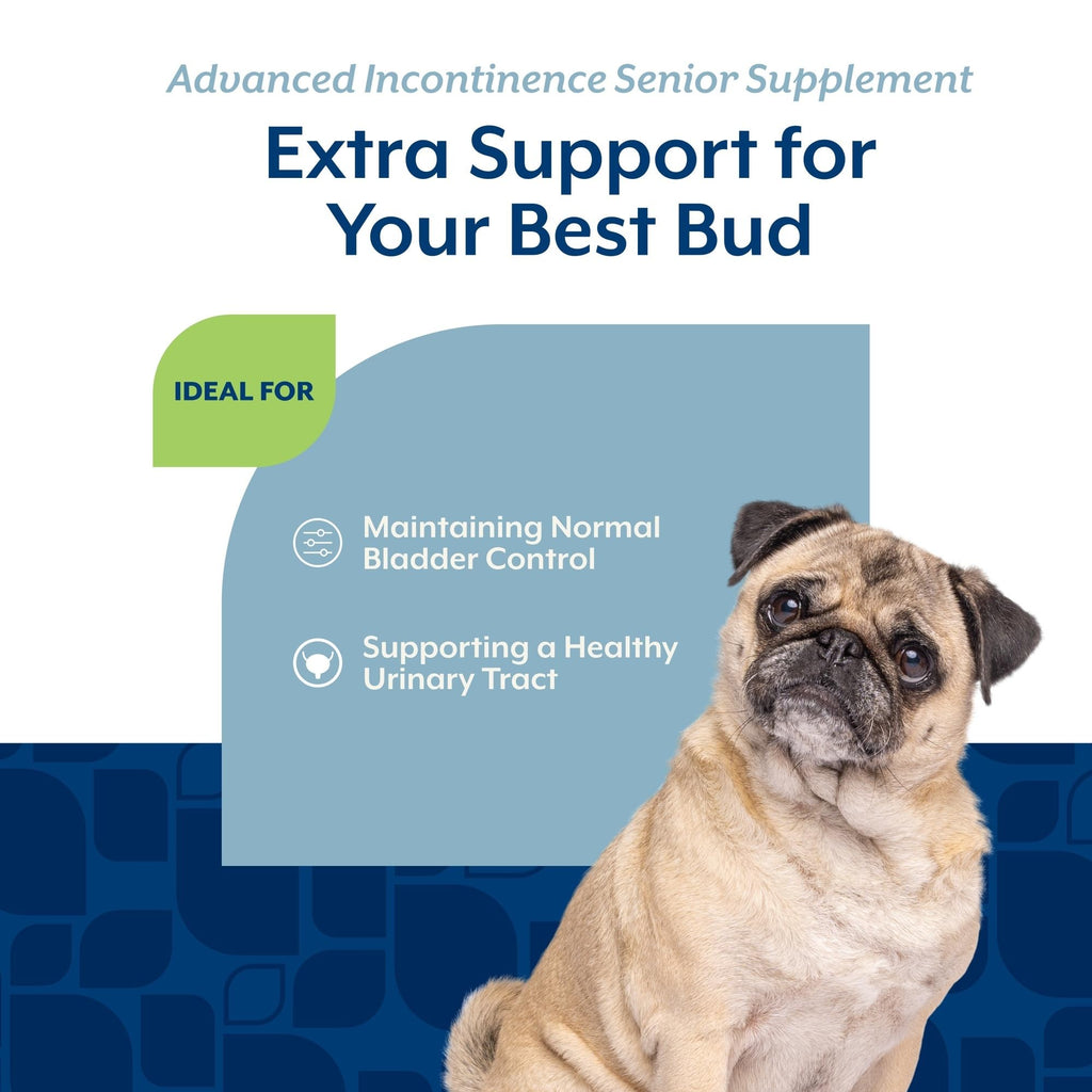 Senior Incontinence Dog Supplement 60 Ct Q352525