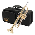 Bb Trumpet with Yellow Brass Bell and Stainless Steel Valves V3188