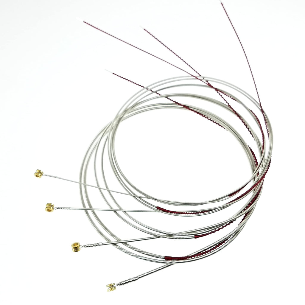 Short Scale Bass N517582