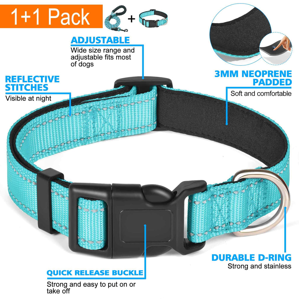 Reflective Padded Dog Collar with Neoprene, Medium, Turquoise J151
