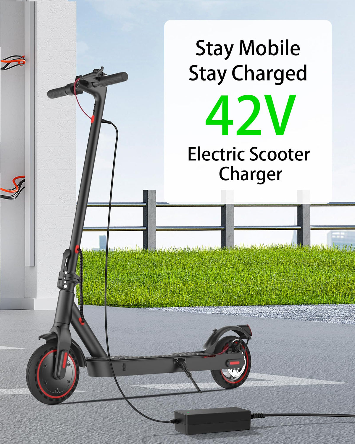 42V Charger for Electric Scooter H669