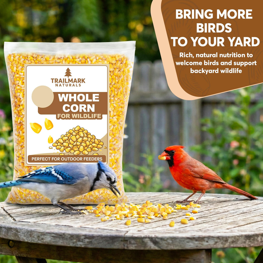 Whole Corn 20 LB Bird Seed & Wildlife Feed V841