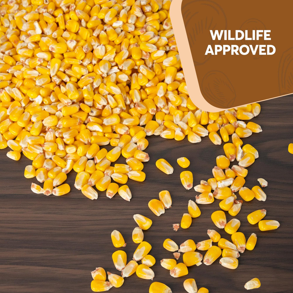 Whole Corn 20 LB Bird Seed & Wildlife Feed V841