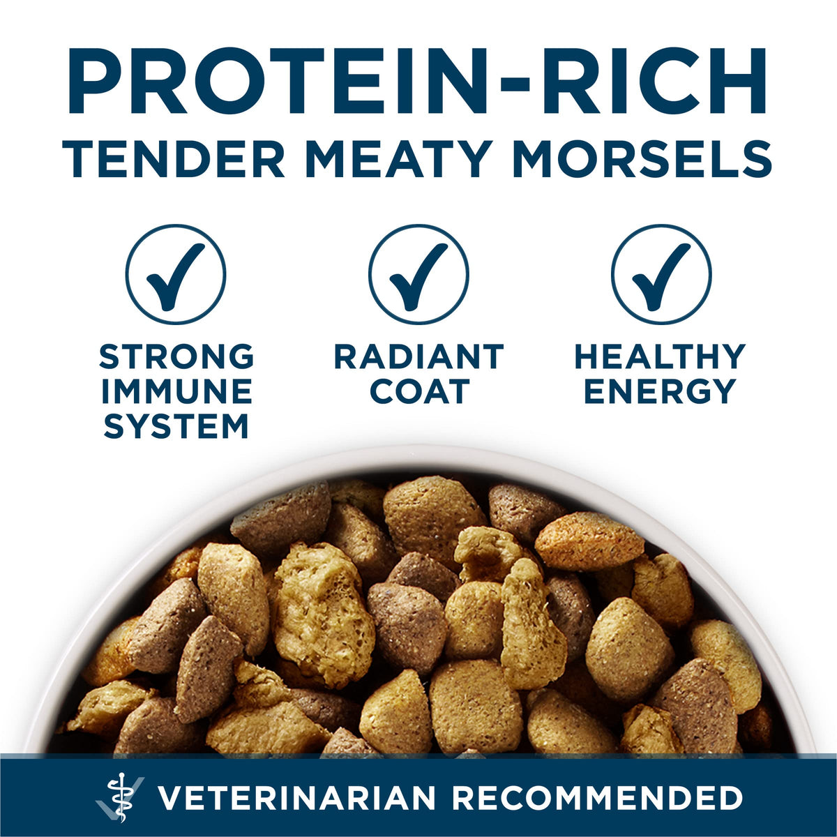 Adult Large Breed Dry Dog Food Chicken 40 lb Bag R5286