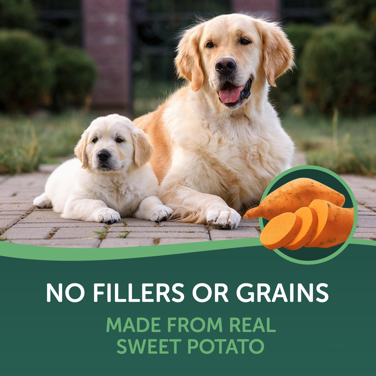 Dried Sweet Potato Slices Dog Treats 16 oz Q4945