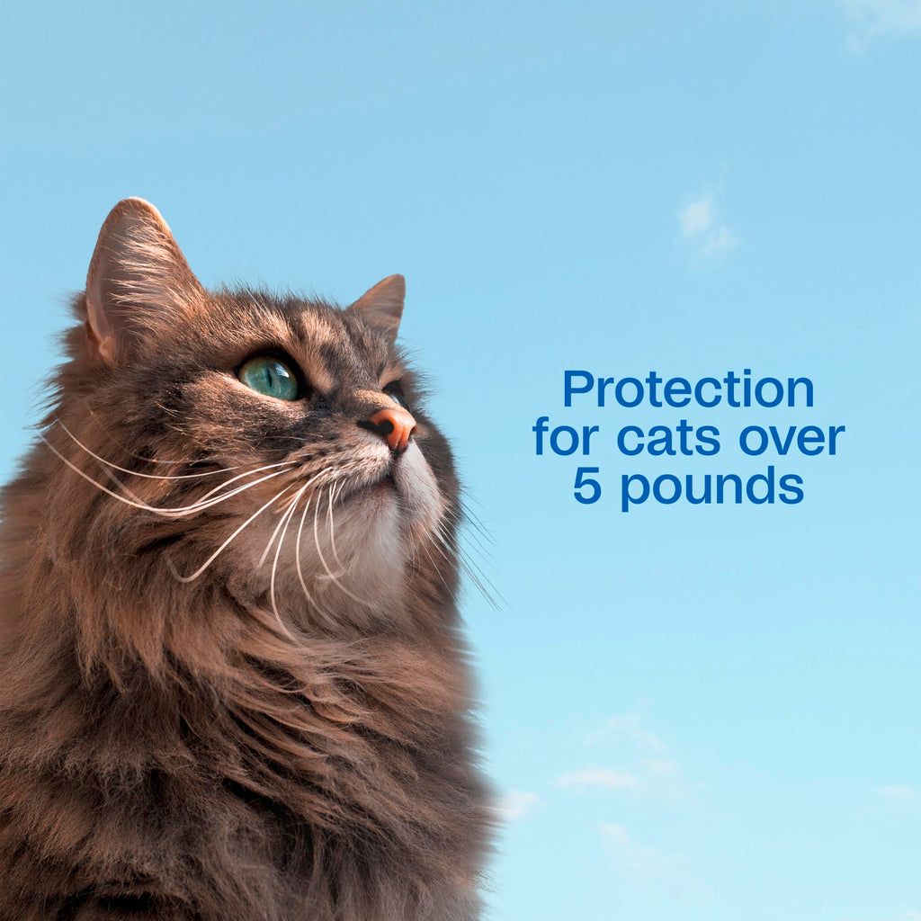 Flea and Tick Prevention Spot On for Cats 3 Pack U18531
