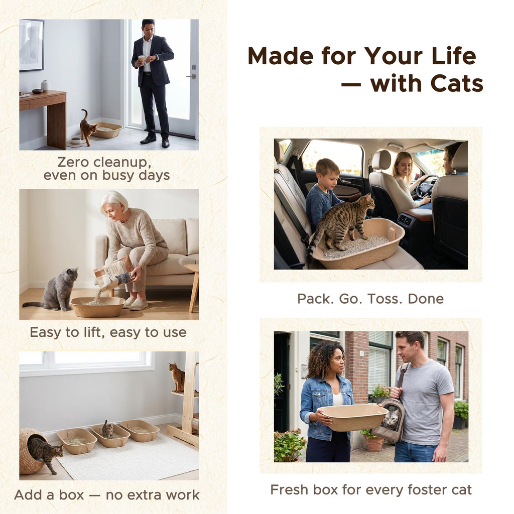 Disposable Litter Box for Kittens Y249