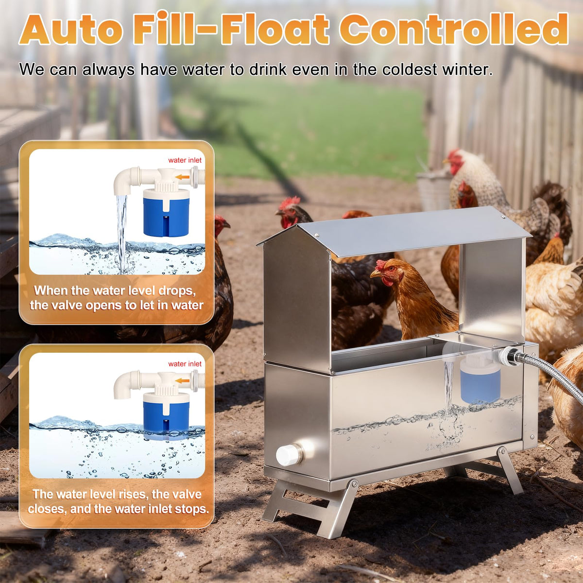 Heated 2 Gallon Stainless Steel Chicken Waterer Q717783