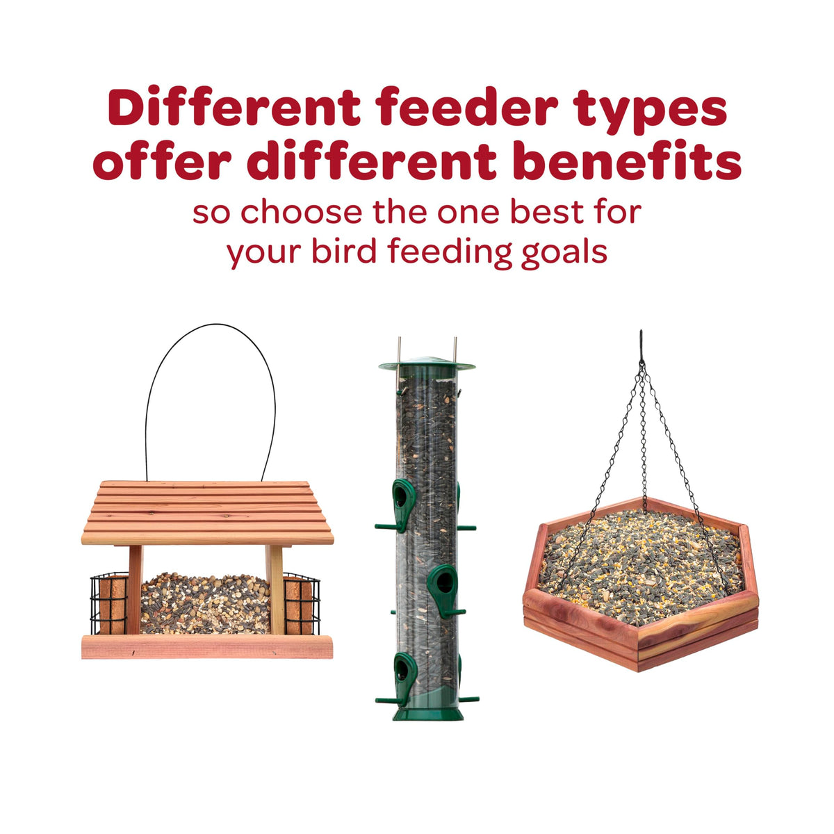 Nyjer Seed for Finches & Other Wild Birds, 20 Pounds B2228