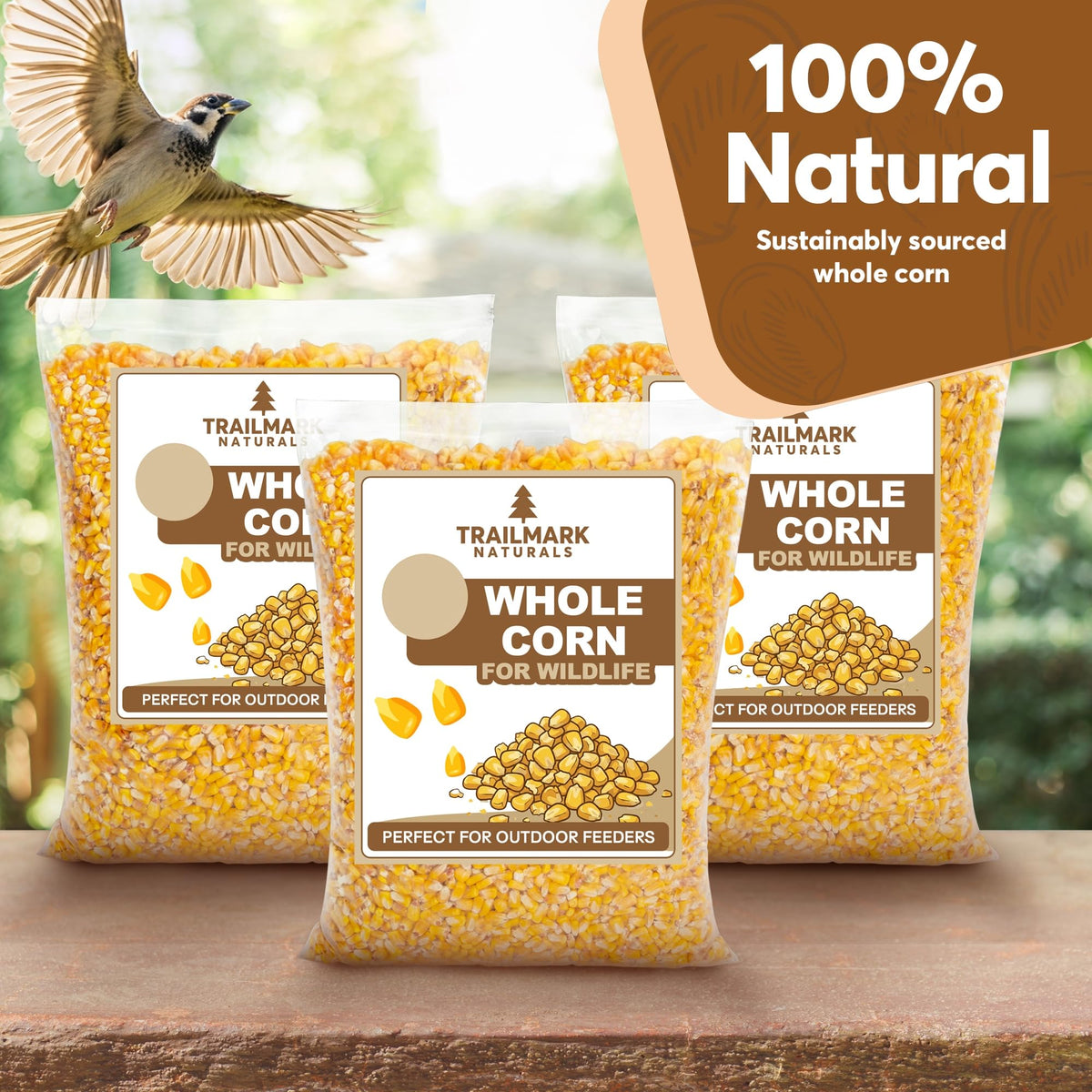Whole Corn 20 LB Bird Seed & Wildlife Feed V841