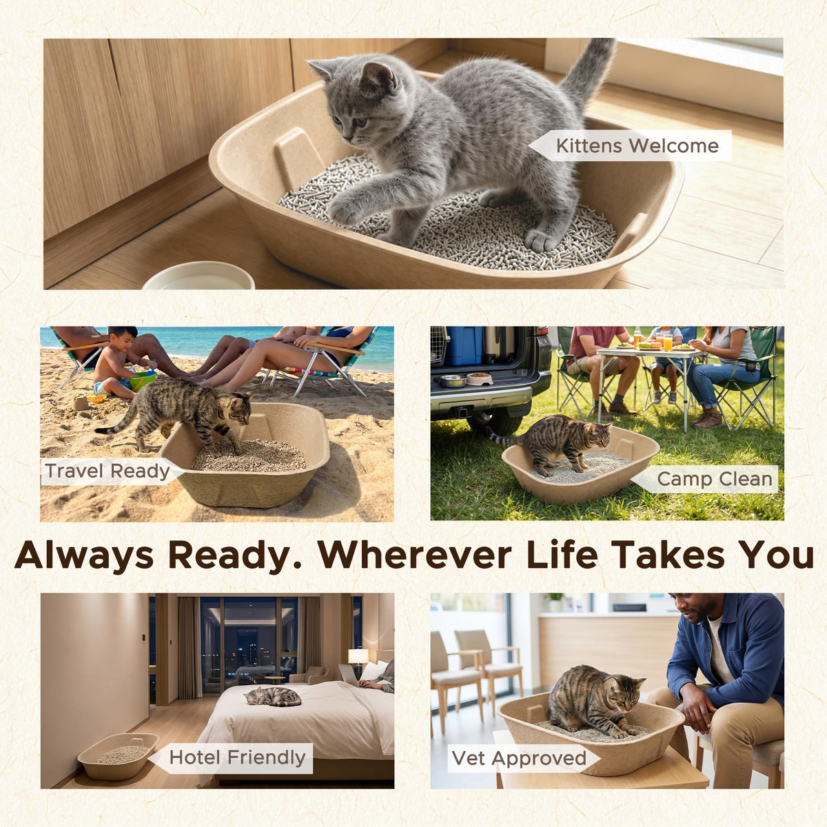 Disposable Litter Box for Kittens Y249