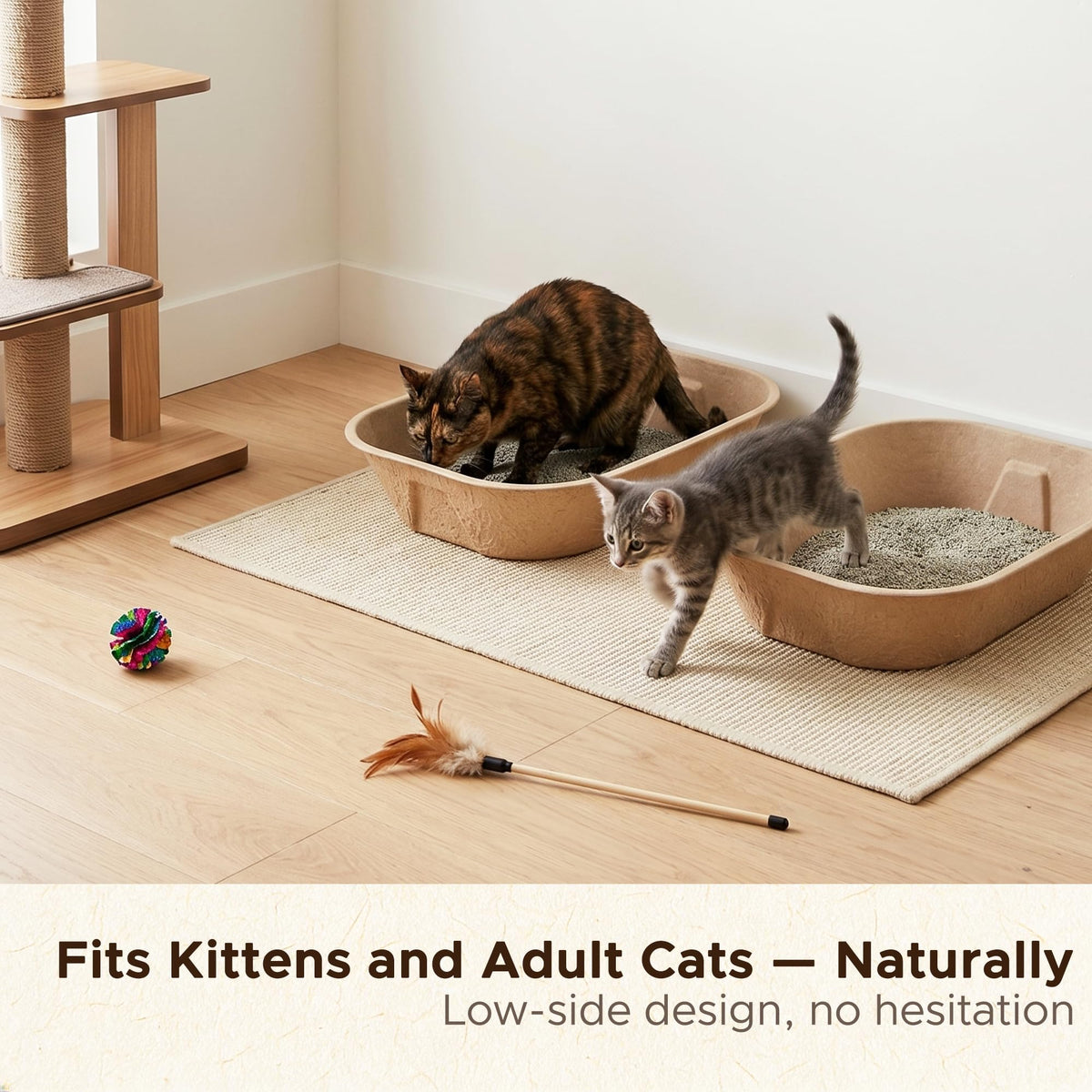 Disposable Litter Box for Kittens Y249