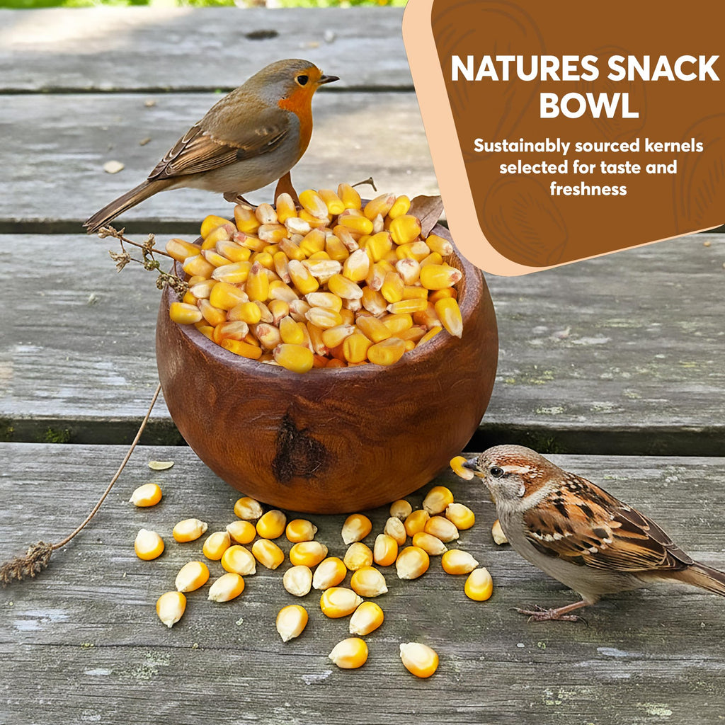 Whole Corn 20 LB Bird Seed & Wildlife Feed V841