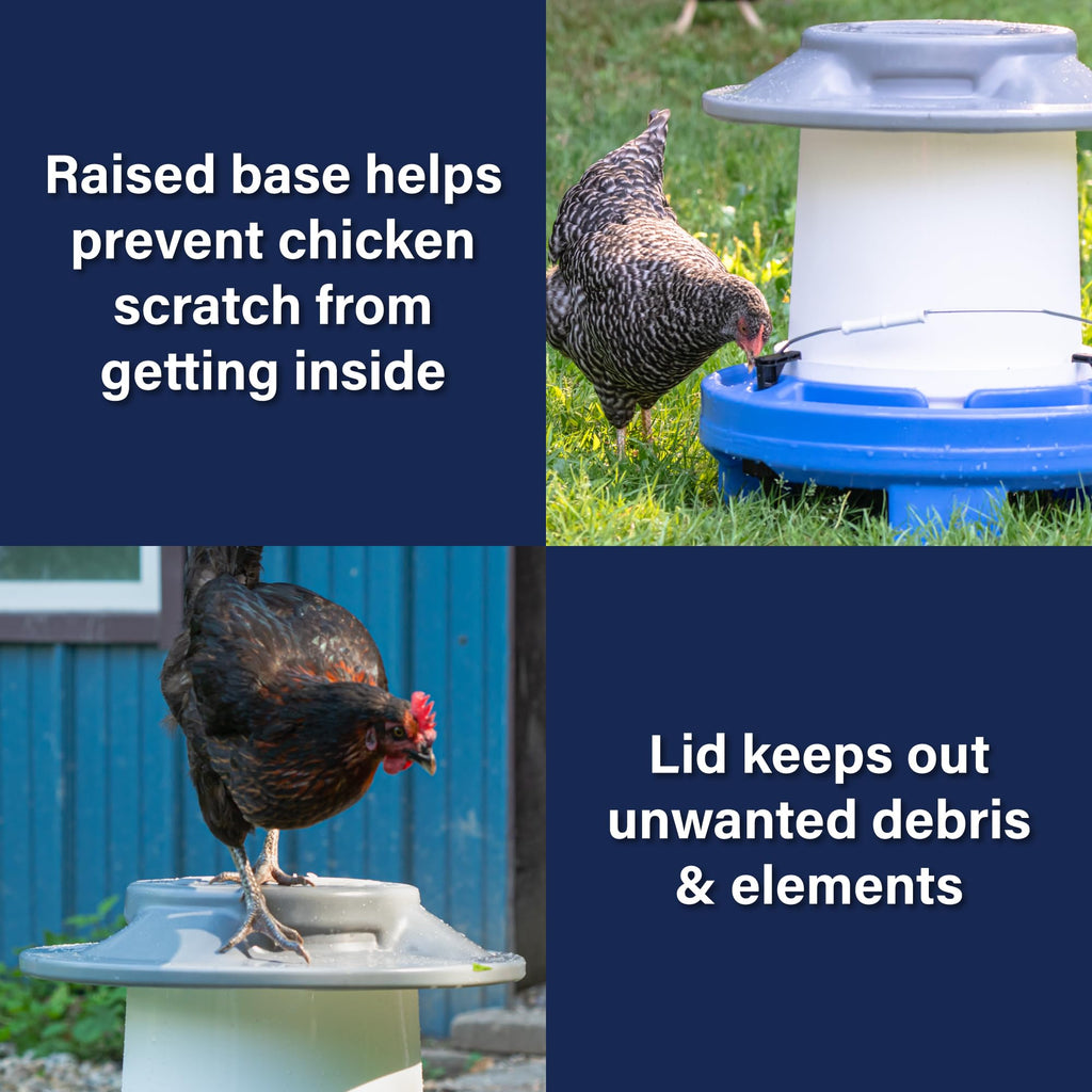 5 Gallon Chicken Waterer C1910