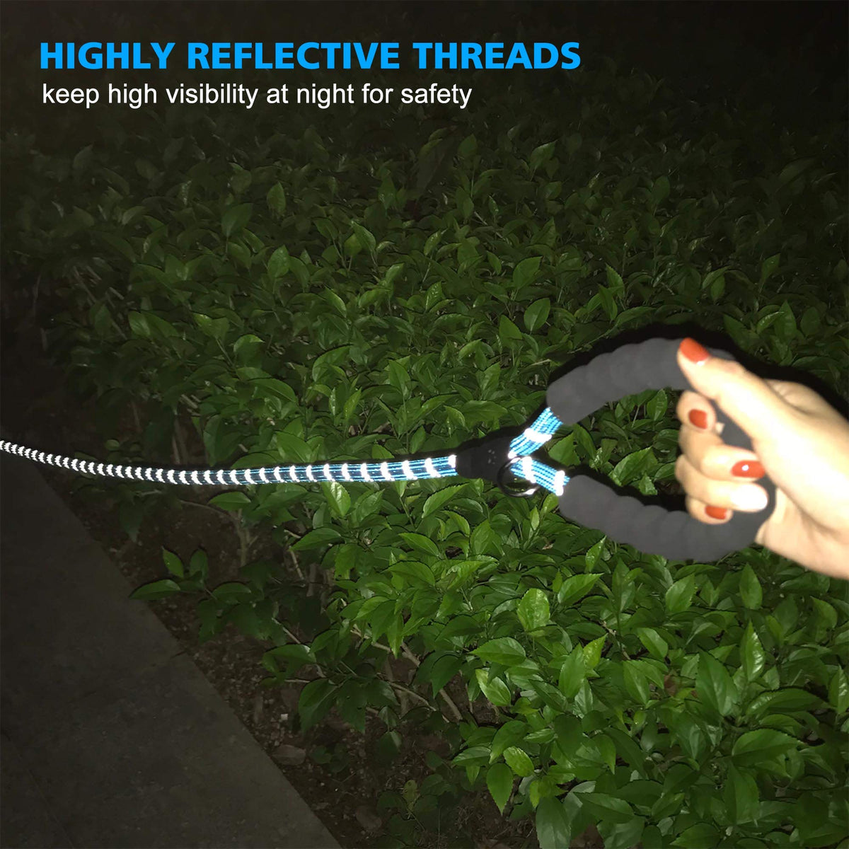 Reflective Padded Dog Collar with Neoprene, Medium, Turquoise J151