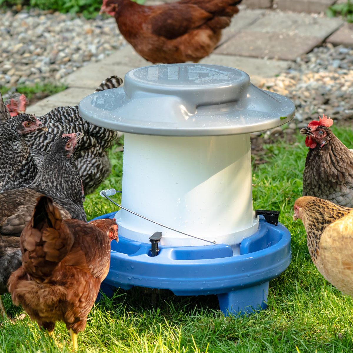 5 Gallon Chicken Waterer C1910