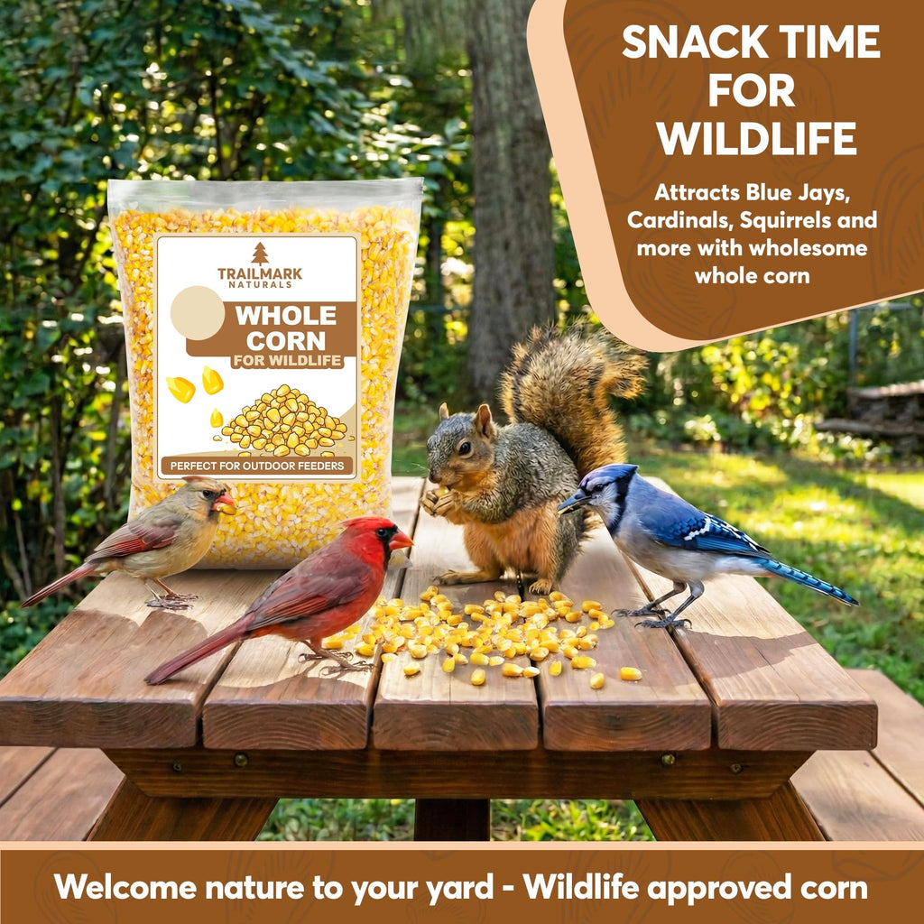 Whole Corn 20 LB Bird Seed & Wildlife Feed V841