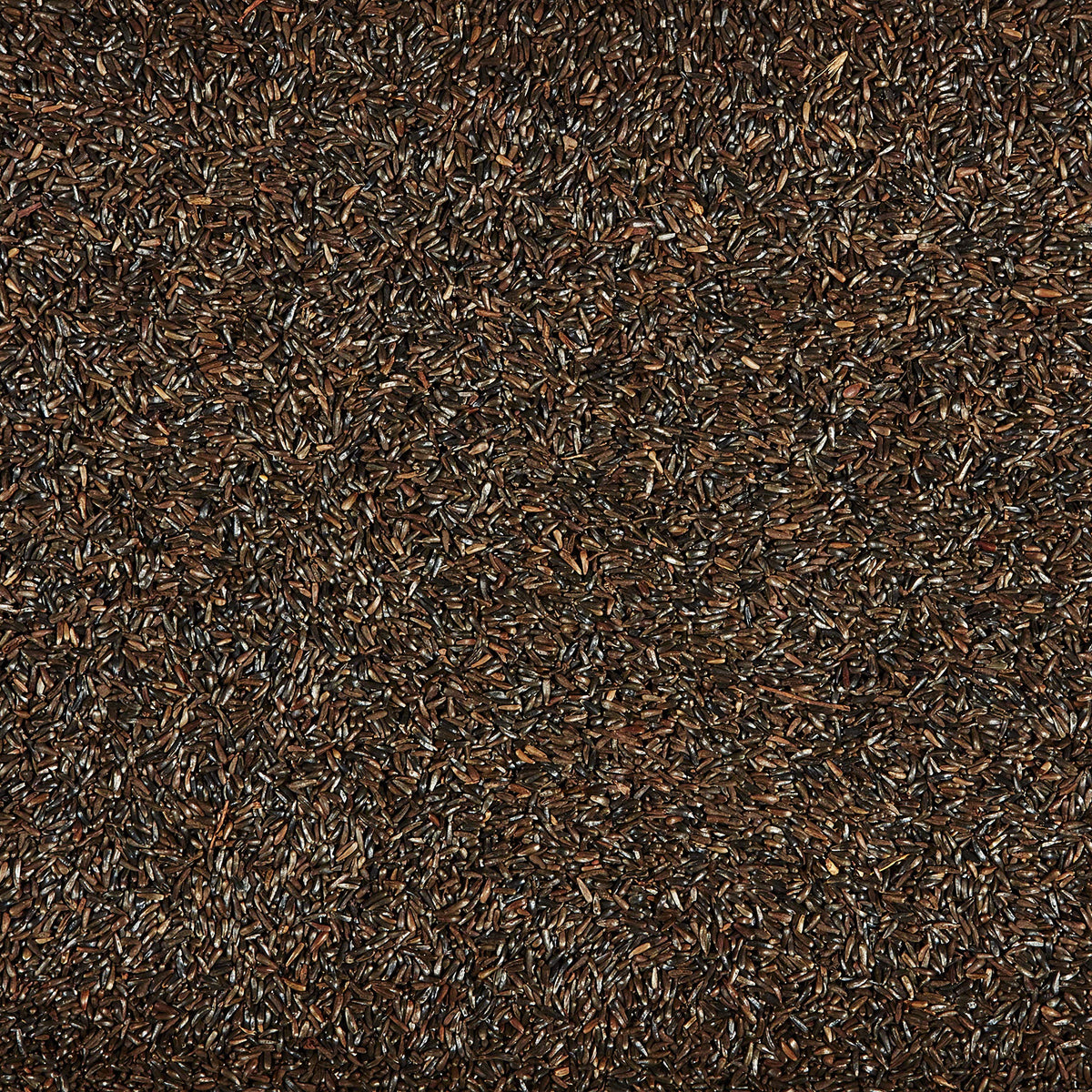 Nyjer Seed for Finches & Other Wild Birds, 20 Pounds B2228