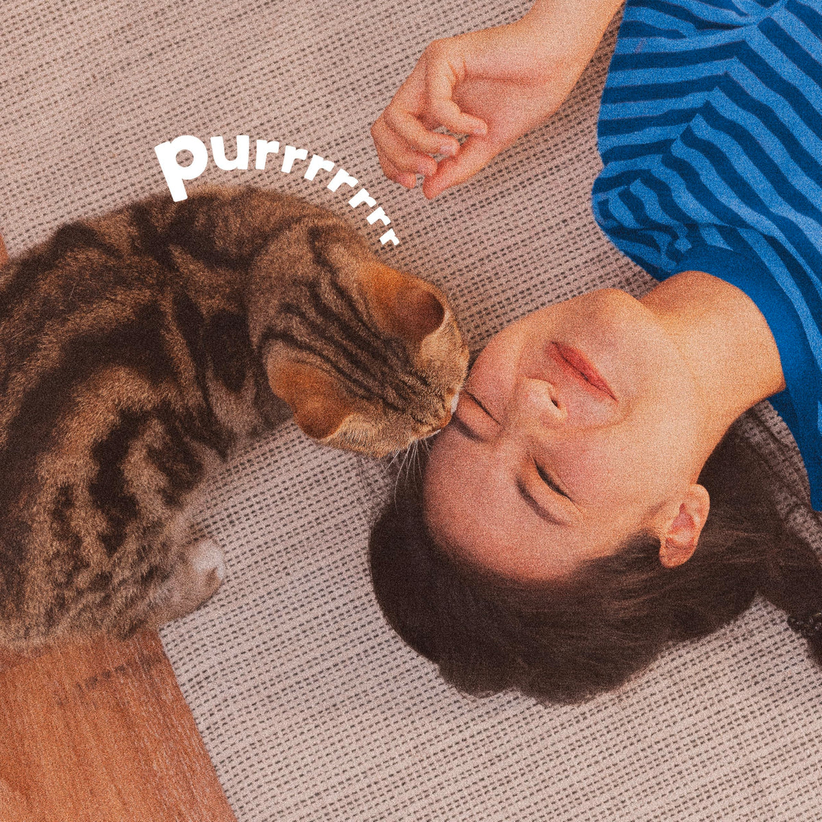 Flea and Tick Prevention Spot On for Cats 3 Pack U18531