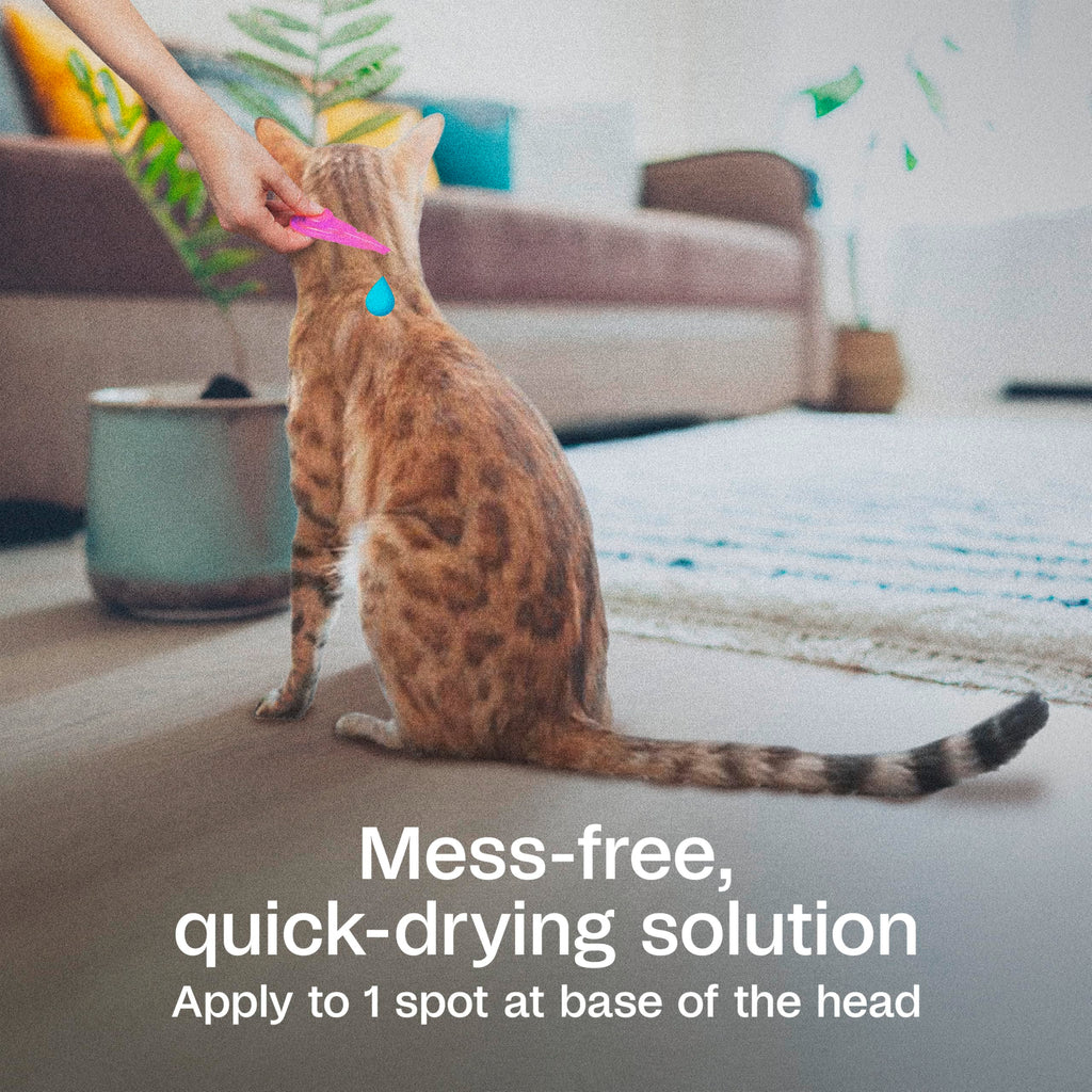 Flea and Tick Prevention Spot On for Cats 3 Pack U18531